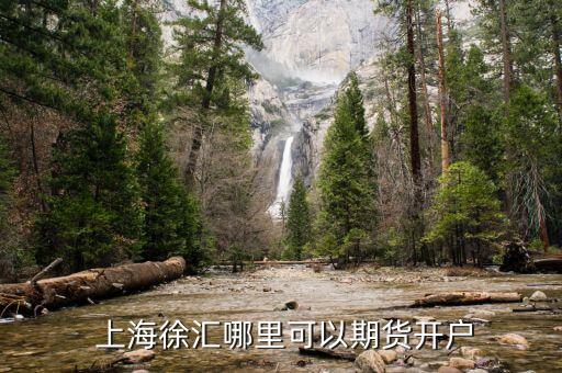  上海徐匯哪里可以期貨開(kāi)戶(hù)