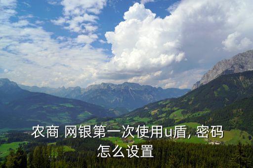  農(nóng)商 網(wǎng)銀第一次使用u盾, 密碼怎么設置