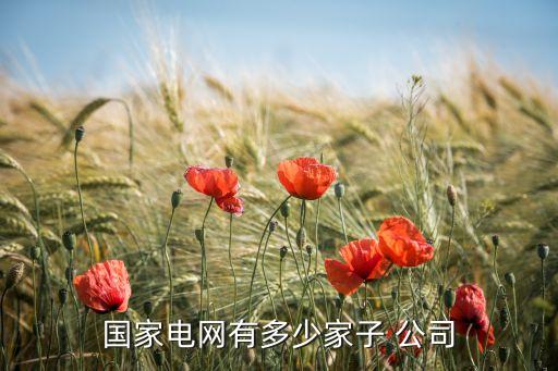 安仁電力有限責(zé)任公司,中國葛洲壩集團電力有限責(zé)任公司