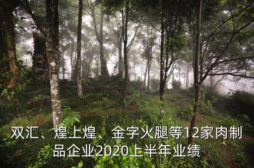 雙匯、煌上煌、金字火腿等12家肉制品企業(yè)2020上半年業(yè)績