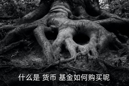 什么是 貨幣 基金如何購(gòu)買(mǎi)呢