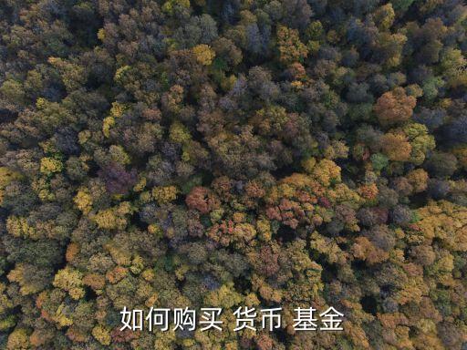 如何購(gòu)買(mǎi) 貨幣 基金
