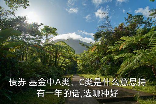 債券 基金中A類、C類是什么意思持有一年的話,選哪種好