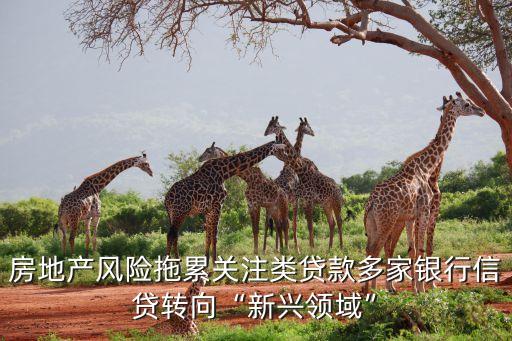 房地產(chǎn)風(fēng)險(xiǎn)拖累關(guān)注類(lèi)貸款多家銀行信貸轉(zhuǎn)向“新興領(lǐng)域”