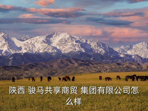 陜西 駿馬共享商貿 集團有限公司怎么樣