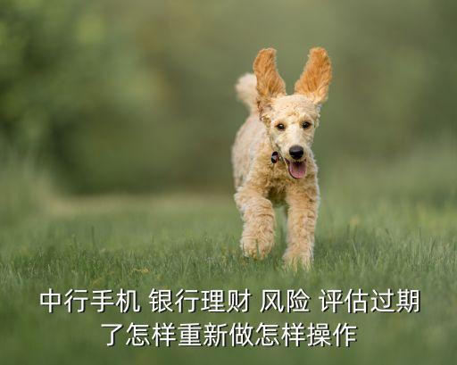中行手機 銀行理財 風(fēng)險 評估過期了怎樣重新做怎樣操作