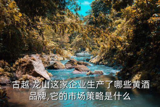  古越 龍山這家企業(yè)生產了哪些黃酒品牌,它的市場策略是什么