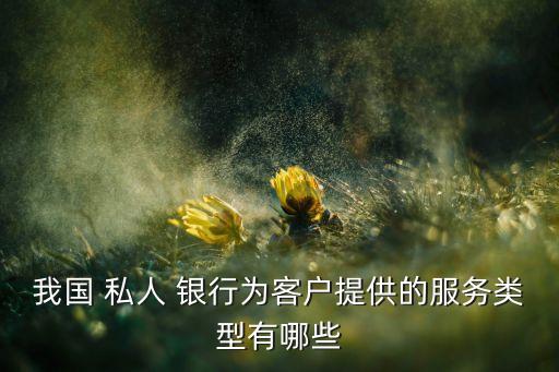 私人銀行顧問咨詢業(yè)務范圍,采取顧問咨詢模式的私人銀行