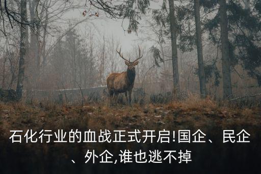 石化行業(yè)的血戰(zhàn)正式開啟!國(guó)企、民企、外企,誰(shuí)也逃不掉