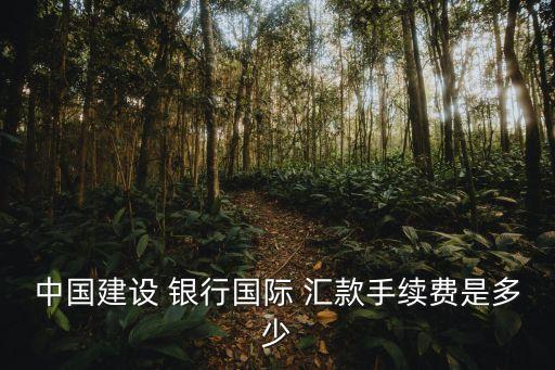 中國建設 銀行國際 匯款手續(xù)費是多少