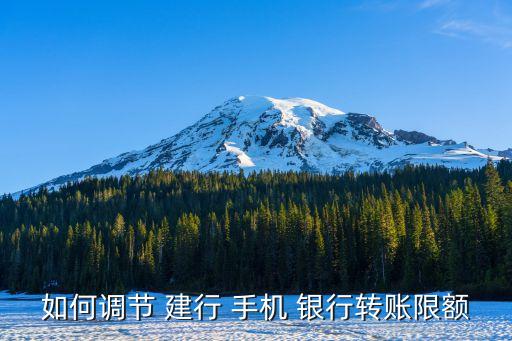 如何調節(jié) 建行 手機 銀行轉賬限額