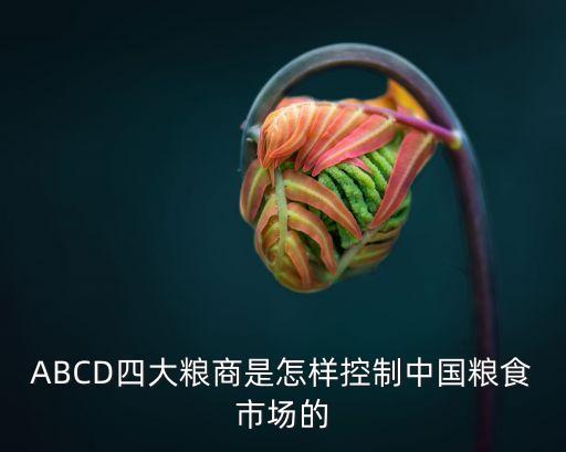 華糧集團(tuán)上?？偨?jīng)理,華住集團(tuán)河南區(qū)總經(jīng)理是誰(shuí)