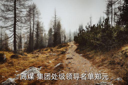  同煤 集團處級領(lǐng)導名單鄭元
