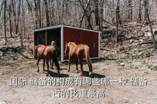 國際 儲備的構成有哪些哪一種 儲備占的比重最高