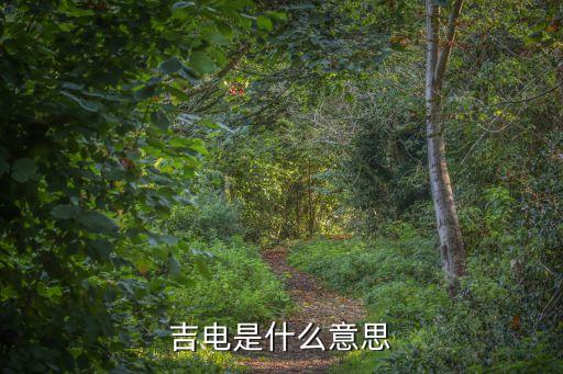 江蘇吉新電力有限公司,溫州吉新汽車銷售服務有限公司
