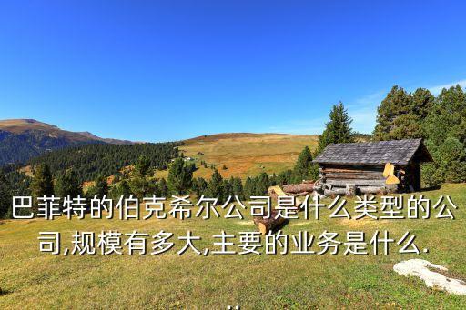 巴菲特的伯克希爾公司是什么類(lèi)型的公司,規(guī)模有多大,主要的業(yè)務(wù)是什么...