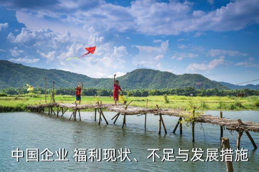 中國(guó)企業(yè) 福利現(xiàn)狀、不足與發(fā)展措施