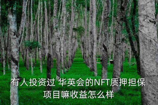 有人投資過 華英會的NFT質(zhì)押擔保項目嘛收益怎么樣
