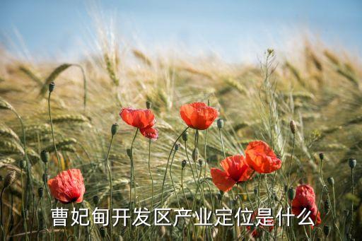  曹妃甸開發(fā)區(qū)產業(yè)定位是什么