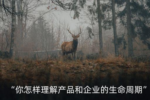 “你怎樣理解產品和企業(yè)的生命周期”
