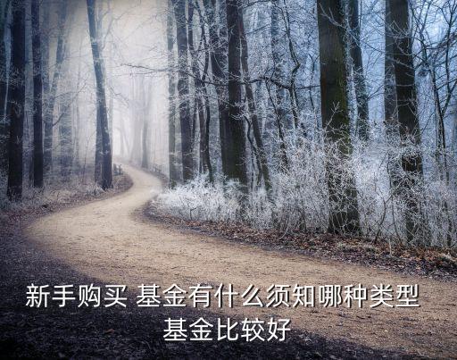 新手購(gòu)買(mǎi) 基金有什么須知哪種類(lèi)型 基金比較好