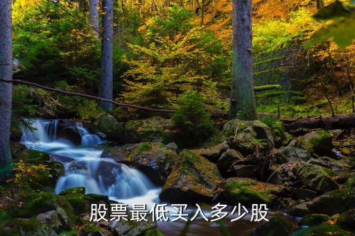 股票一般買(mǎi)多少股,100元能炒股嗎