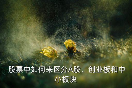 股票中如何來區(qū)分A股、創(chuàng)業(yè)板和中小板塊