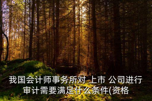 我國會計師事務所對 上市 公司進行審計需要滿足什么條件(資格