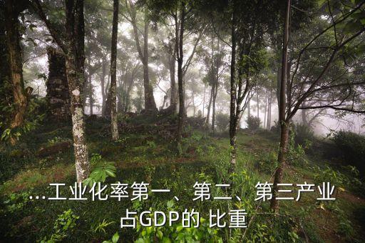 ...工業(yè)化率第一、第二、第三產(chǎn)業(yè)占GDP的 比重