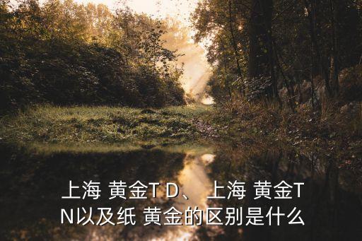  上海 黃金T D、 上海 黃金T N以及紙 黃金的區(qū)別是什么