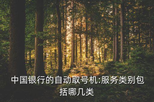  中國(guó)銀行的自動(dòng)取號(hào)機(jī):服務(wù)類別包括哪幾類