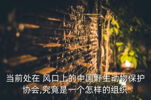 當(dāng)前處在 風(fēng)口上的中國野生動物保護協(xié)會,究竟是一個怎樣的組織
