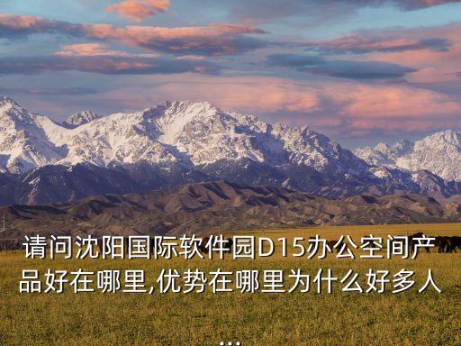 請(qǐng)問(wèn)沈陽(yáng)國(guó)際軟件園D15辦公空間產(chǎn)品好在哪里,優(yōu)勢(shì)在哪里為什么好多人...