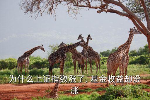 為什么上證指數(shù)漲了, 基金收益卻沒(méi)漲