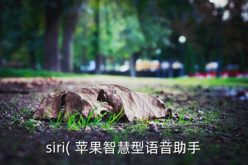 蘋(píng)果訴上海智臻,智臻智能 蘋(píng)果