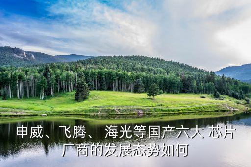 申威、飛騰、 海光等國(guó)產(chǎn)六大 芯片廠商的發(fā)展態(tài)勢(shì)如何