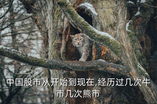 中國股市從開始到現(xiàn)在,經歷過幾次牛市幾次熊市