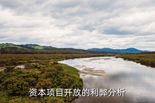 資本項(xiàng)目開(kāi)放的利弊分析