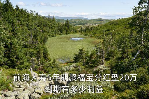 前海人壽保險股份有限公司股權結構,中國前海人壽保險股份有限公司