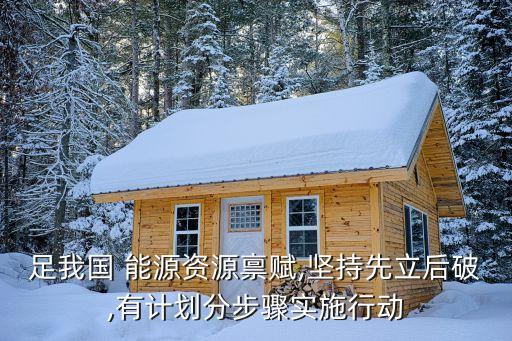 足我國 能源資源稟賦,堅持先立后破,有計劃分步驟實(shí)施行動