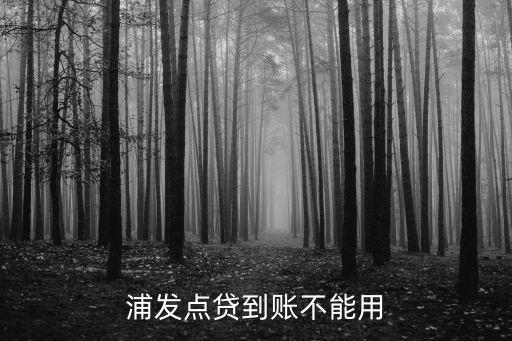 浦發(fā)銀行直銷(xiāo)銀行功能,下載浦發(fā)銀行手機(jī)銀行app