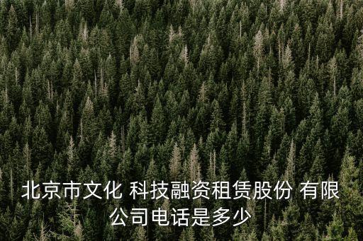 北京市文化 科技融資租賃股份 有限公司電話(huà)是多少