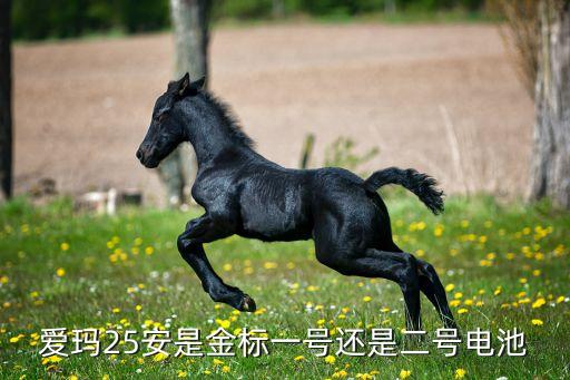 湖北明申鋰電科技有限公司,四川明申農牧科技有限公司