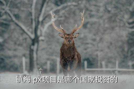 鎮(zhèn)海 px項(xiàng)目是哪個國家投資的