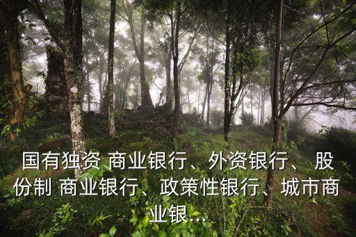 國有獨(dú)資 商業(yè)銀行、外資銀行、 股份制 商業(yè)銀行、政策性銀行、城市商業(yè)銀...