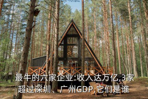  最牛的六家企業(yè):收入達萬億,3家超過深圳、廣州GDP,它們是誰