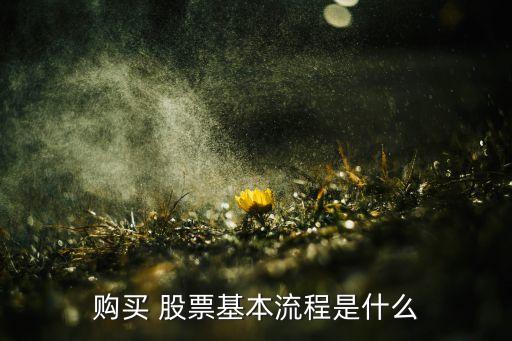購(gòu)買(mǎi) 股票基本流程是什么