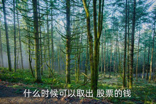 什么時(shí)候可以取出 股票的錢(qián)