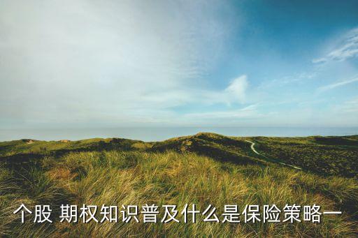 豆粕期權投資方案