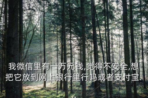 我微信里有一萬(wàn)元錢,覺得不安全,想把它放到網(wǎng)上銀行里行嗎或者支付寶...